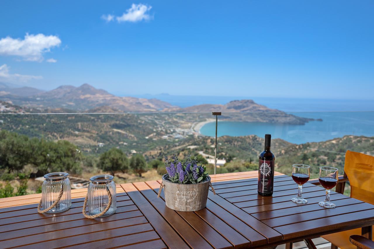 Sellia Resort Πλακιάς Εξωτερικό φωτογραφία